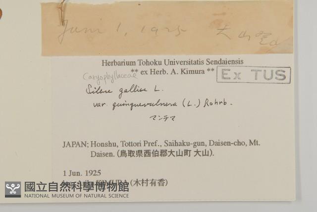 登錄號:S058744藏品圖，第2張