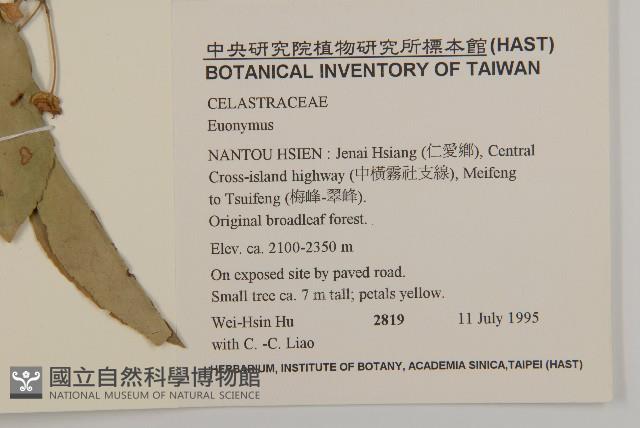 登錄號:S059244藏品圖，第2張