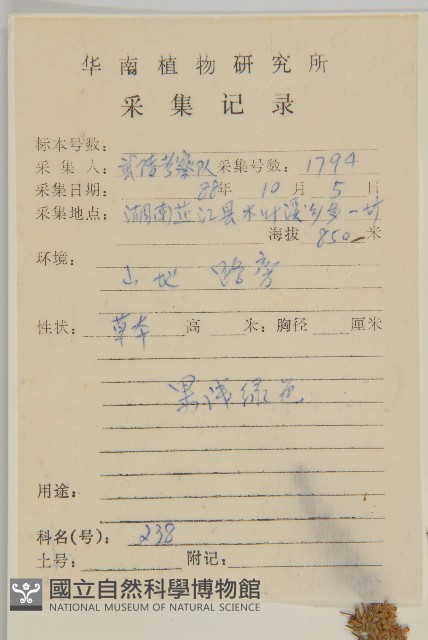 小艾、矮蒿藏品圖，第2張
