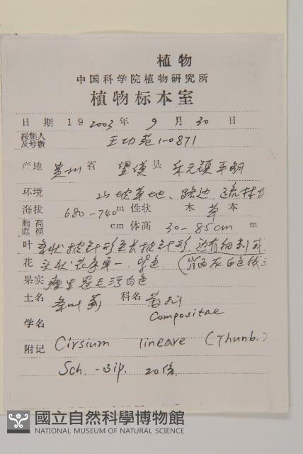 華薊藏品圖，第2張