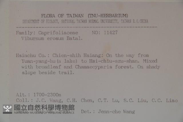 松田氏莢迷、宜昌莢迷藏品圖，第2張