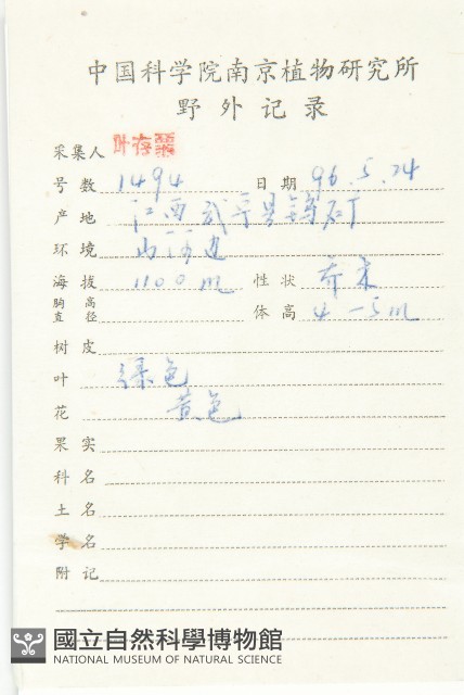 燈臺樹藏品圖，第2張