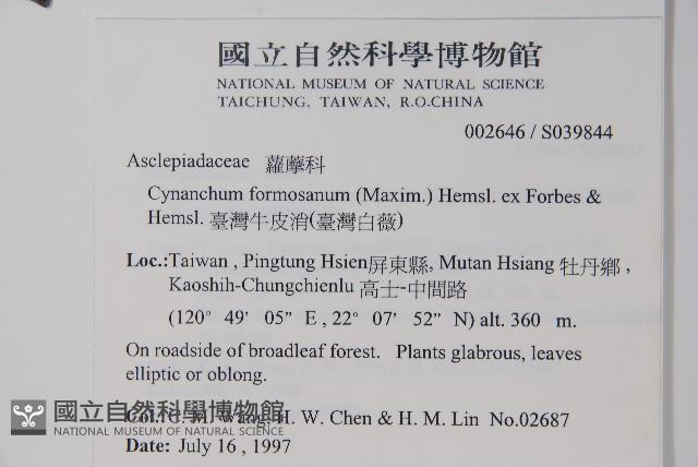 臺灣牛皮消、臺灣白薇藏品圖，第2張