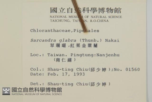 臺灣及己藏品圖，第2張