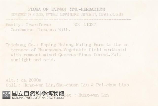 焊菜藏品圖，第2張