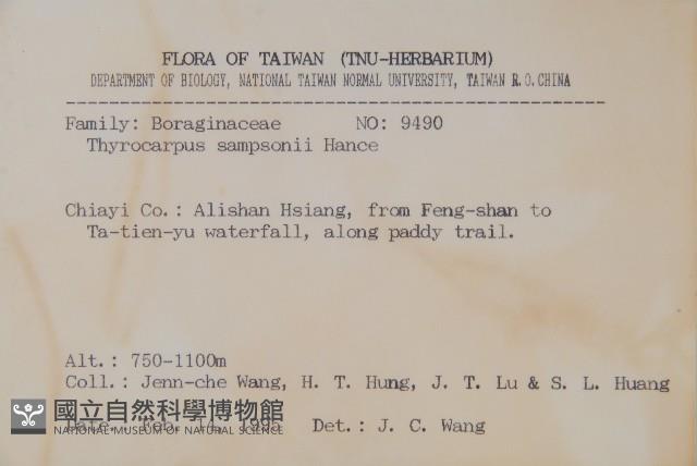 盾果草藏品圖，第2張