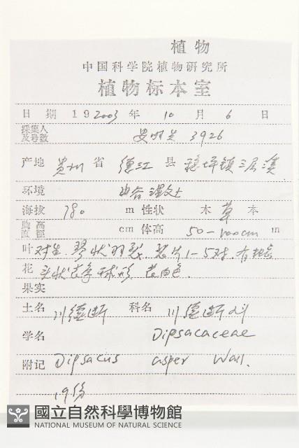 川續斷藏品圖，第2張