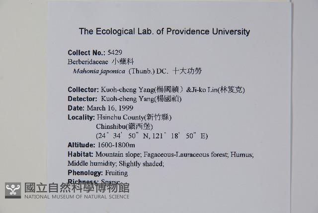 十大功勞藏品圖，第2張