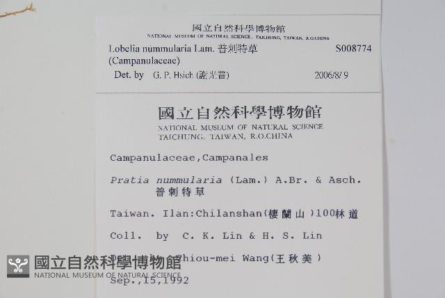 Accession Number:S008774 Collection Image, Figure 2, Total 2 Figures