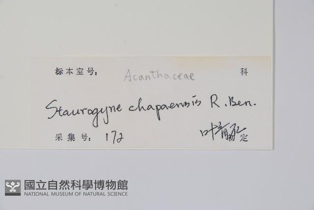 登錄號:S129274藏品圖，第2張