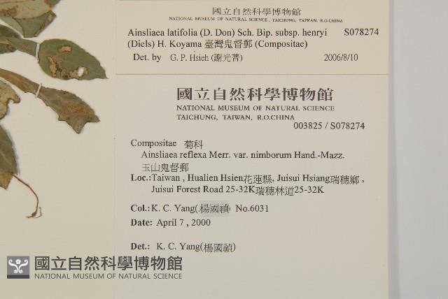 臺灣鬼督郵藏品圖，第2張