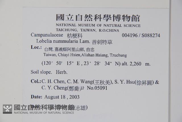 普刺特草藏品圖，第2張