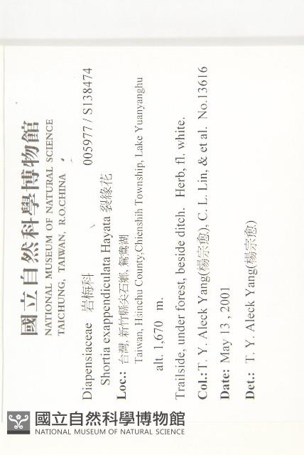 裂緣花藏品圖，第2張