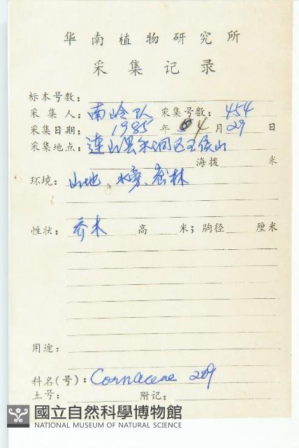 香港四照花藏品圖，第2張