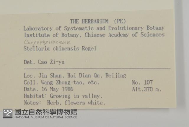 中國繁縷藏品圖，第2張