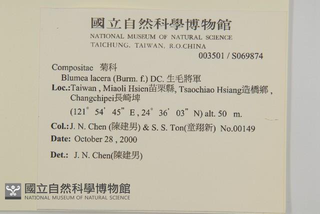 生毛將軍藏品圖，第2張