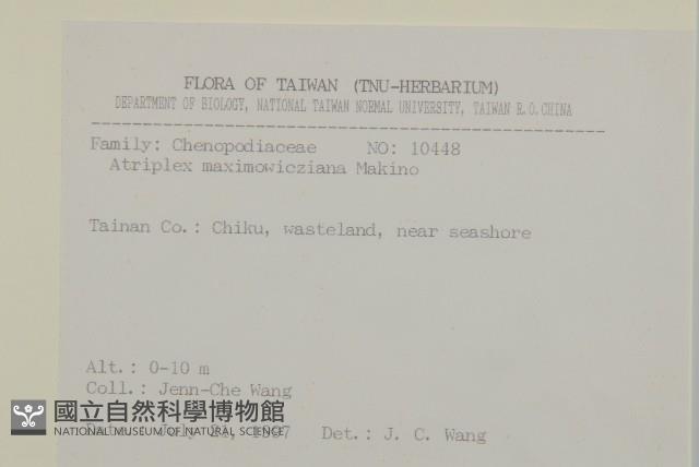 馬氏濱藜藏品圖，第2張