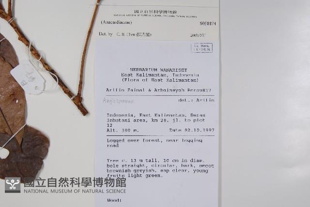 登錄號:S058874藏品圖，第2張