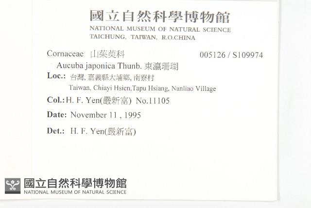 東瀛珊瑚藏品圖，第2張