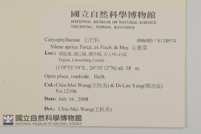 女婁菜藏品圖，第2張