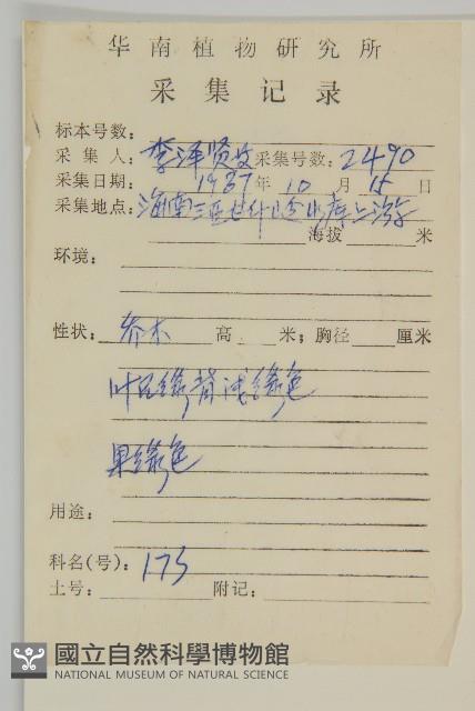 流蘇衛矛、越南衛矛藏品圖，第2張