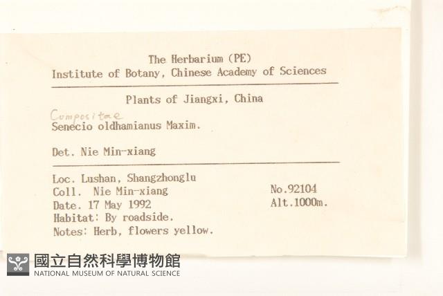 蒲兒根藏品圖，第2張