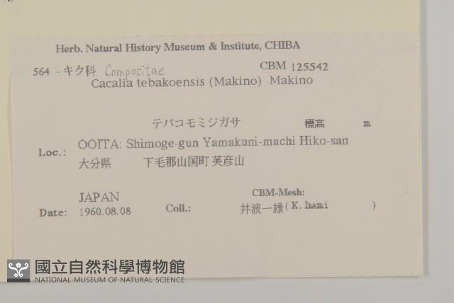 登錄號:S108084藏品圖，第2張