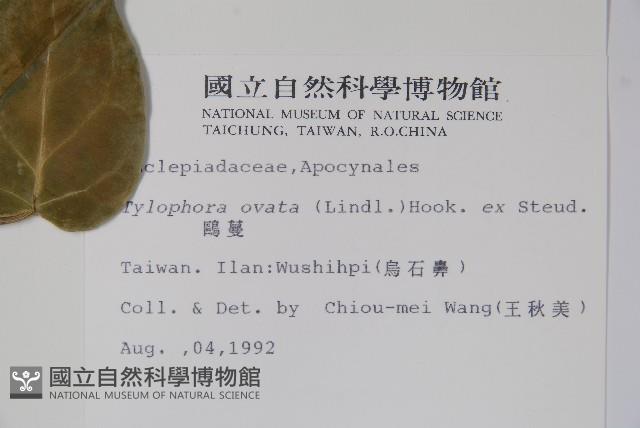 鷗蔓藏品圖，第2張