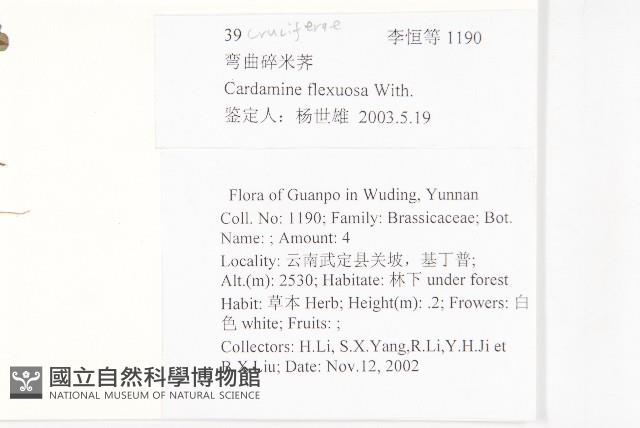 焊菜藏品圖，第2張