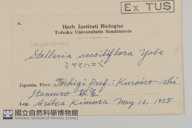 登錄號:S058384藏品圖，第2張