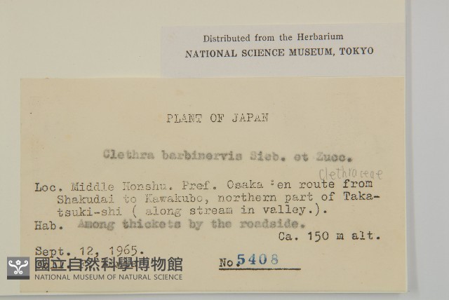 華東山柳藏品圖，第2張