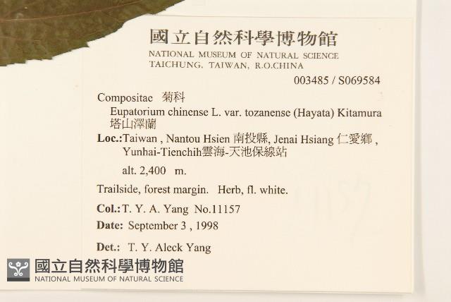 Accession Number:S069584 Collection Image, Figure 2, Total 2 Figures