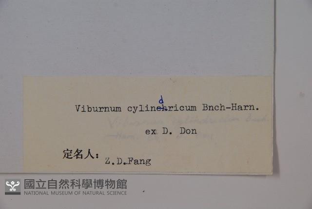 水紅木藏品圖，第2張