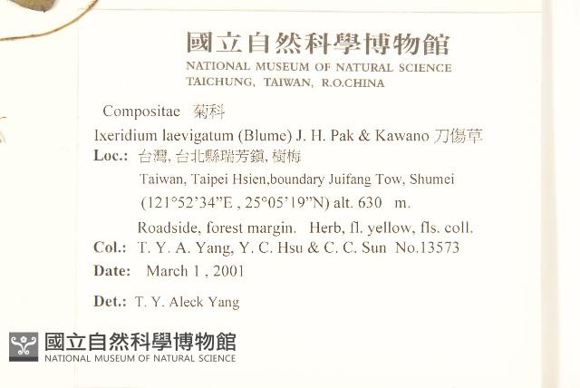 刀傷草藏品圖，第2張