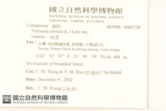 一枝香藏品圖，第2張