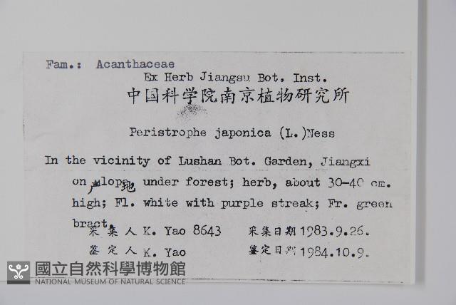 九頭獅子草藏品圖，第2張