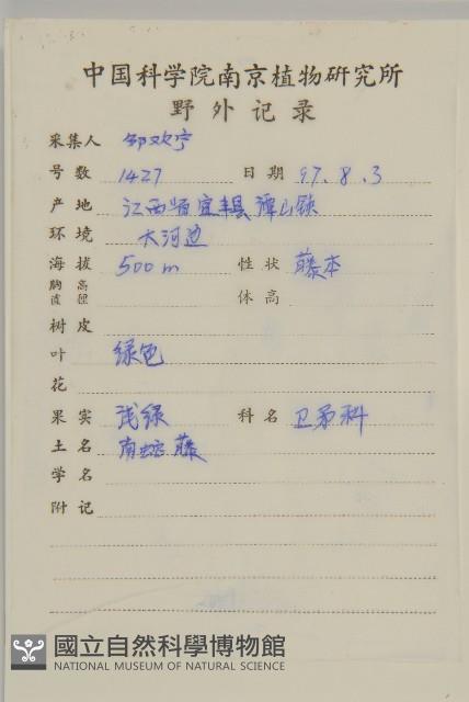 哥蘭葉藏品圖，第2張