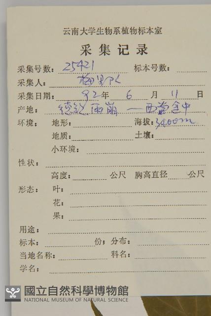 絨楚丘生衛矛藏品圖，第2張