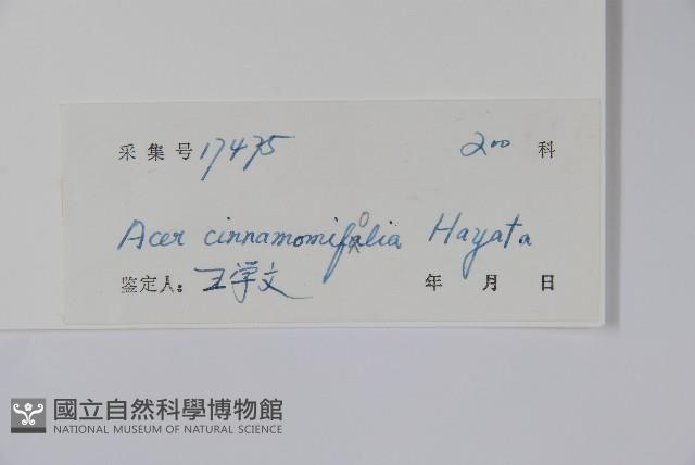 Accession Number:S041229 Collection Image, Figure 2, Total 2 Figures