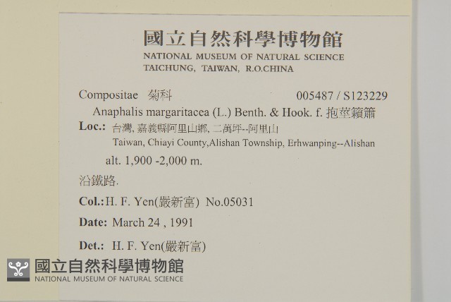 抱莖籟簫藏品圖，第2張