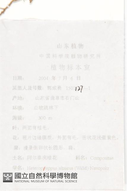 阿爾泰狗哇花藏品圖，第2張