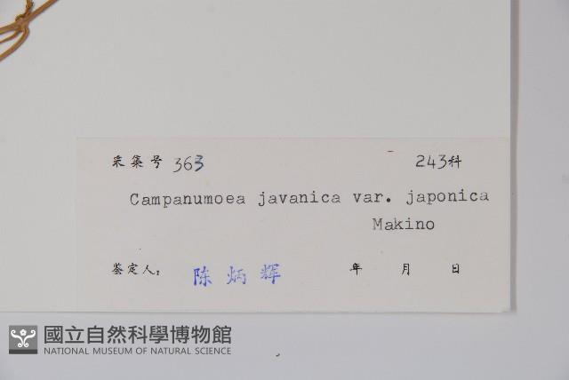 Accession Number:S030129 Collection Image, Figure 2, Total 2 Figures