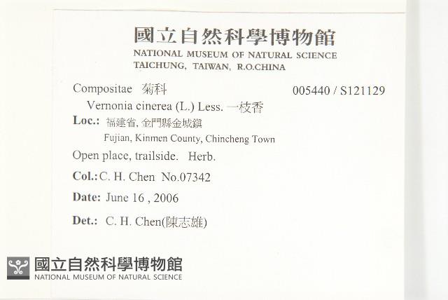 一枝香藏品圖，第2張