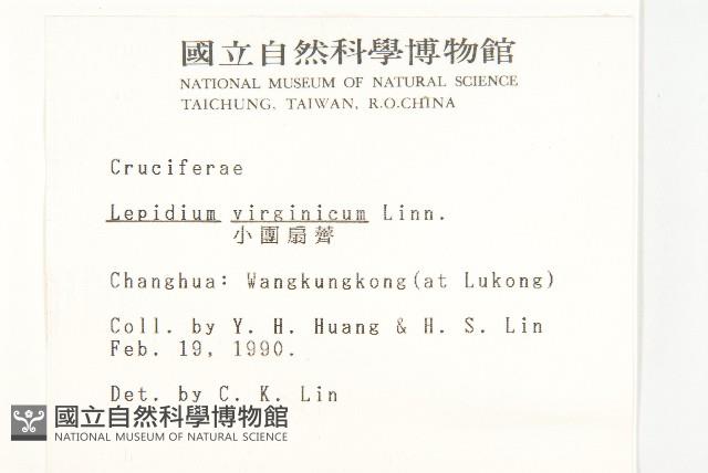 Bird's pepper, Birginia pepperweed Collection Image, Figure 2, Total 2 Figures