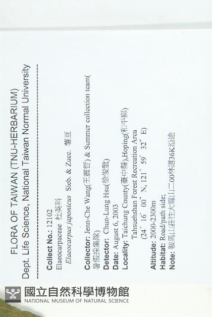 薯豆藏品圖，第2張