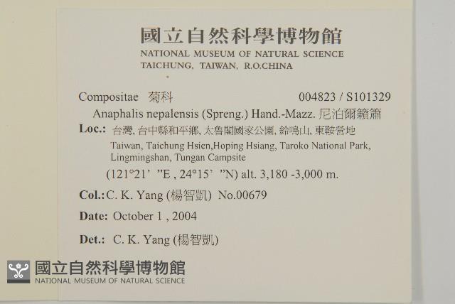 尼泊爾籟簫藏品圖，第2張