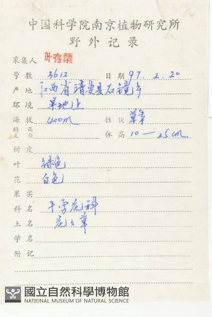 匐匍南薺藏品圖，第2張