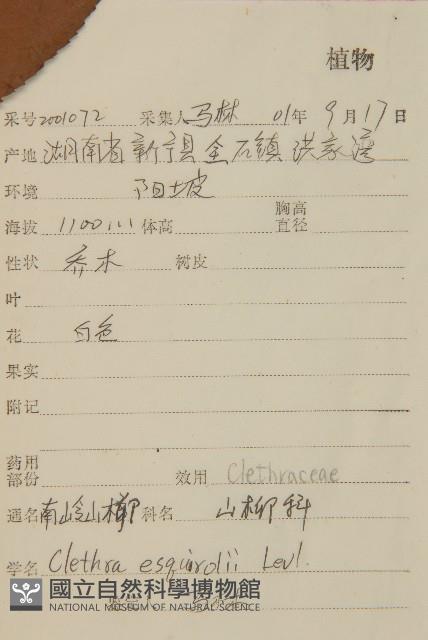 南嶺山柳藏品圖，第2張