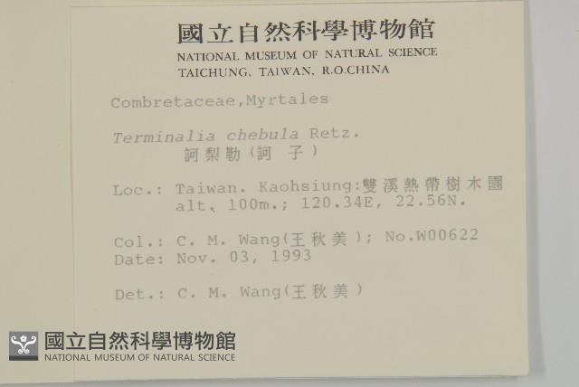 訶梨勒、訶子藏品圖，第2張