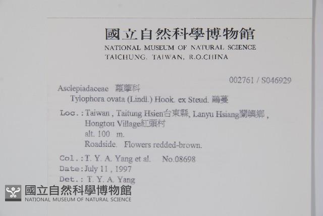 鷗蔓藏品圖，第2張